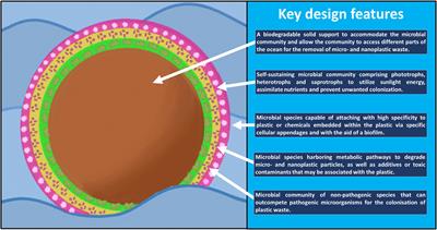 Engineering a microbiosphere to clean up the ocean – inspiration from the plastisphere